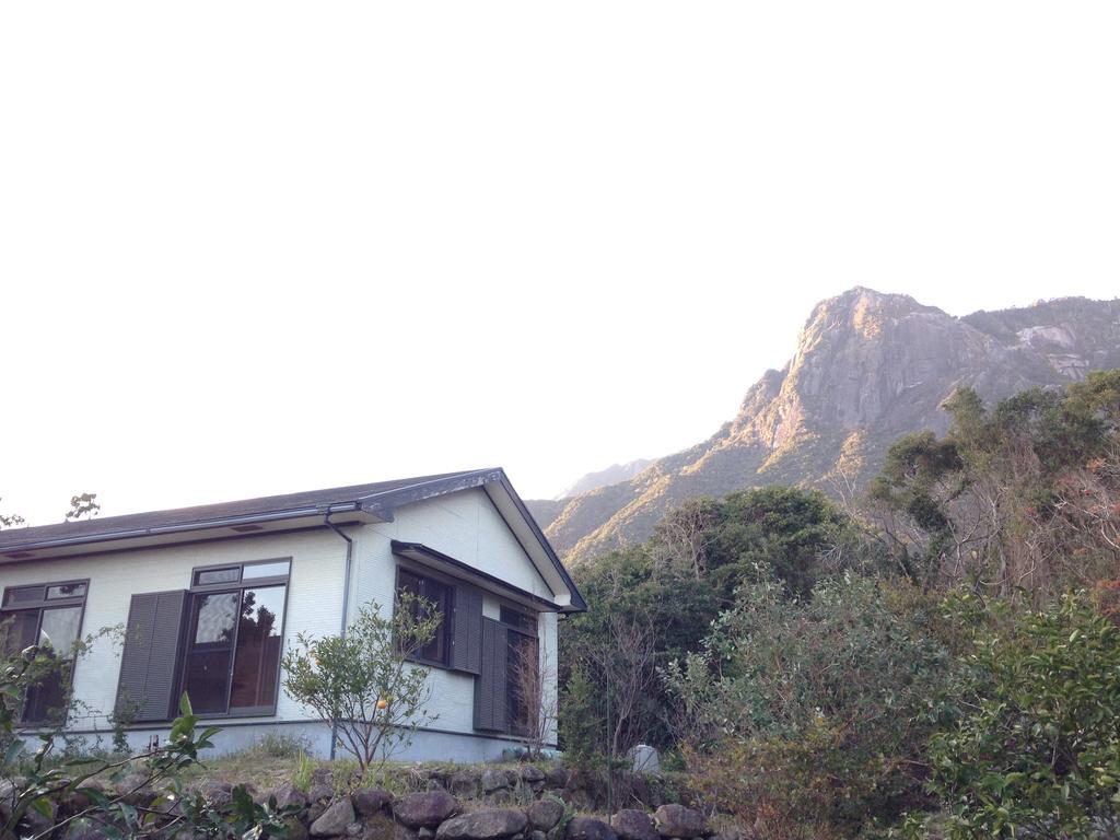 Hotel Minshuku Nicoichi Yakushima  Exterior foto